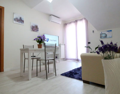 Bilocale – Il Novecento