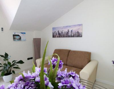 Bilocale – Il Novecento